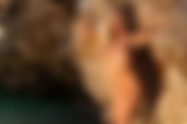 [photodromm.com] 2016-02/[photodromm.com] - 2016.02.26 - Brigitta - Coolwater II (x50) 2000x3000/41l.jpg