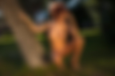 [photodromm.com] 2015-08/[photodromm.com] - 2015.08.08 - Tommi Jo - West Coast (x46) 2000x3000/29l.jpg