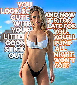 PVMHQ/Covers/emily_cap2.png