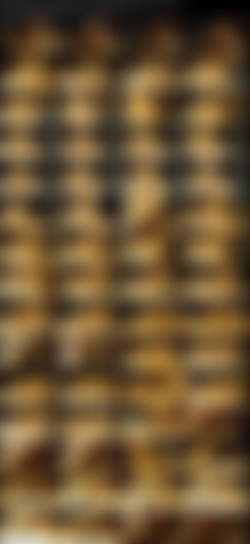 modelhub_SERENAHOTWIFE/Blonde Serena Hotwife Gets Fingered And Blows Bull While Husband Films.jpeg