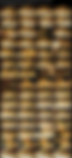 modelhub_SERENAHOTWIFE/Blonde Serena Hotwife Gets Fucked Hard By Bull While Husband Films PT3.jpeg