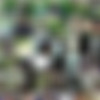 naomi1.net Siterip/Screens