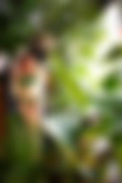 Laraloxley/2019-09-25 Green Ivy/01.jpg