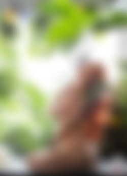 Laraloxley/2019-09-25 Green Ivy/28.jpg