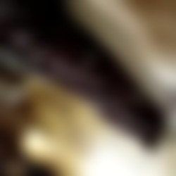 rachkom.avi