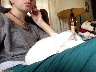 Redheadedkitten from reddit/1 (138).jpg