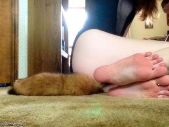 Redheadedkitten from reddit/1 (111).jpg