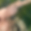 AllNaturalAurora/Videos/gif_thumbs