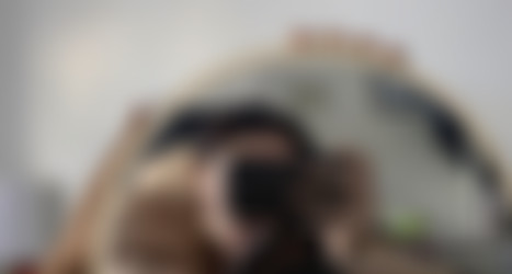[OnlyFans.com] KadyDelrey - Siterip/images/1792x960_83a34cda37b37539a7aa7dc4b65ce552.jpg