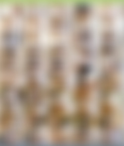 Fit18 4k Megapack/anita-bellini-scene1-4k.mp4.jpg