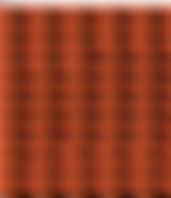 netvideogirls.com/Screens/6_s.jpg