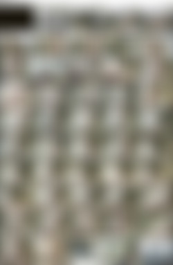 netvideogirls.com/Screens/Alexis Returns_s.jpg