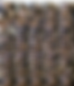 netvideogirls.com/Screens/Ally_s.jpg