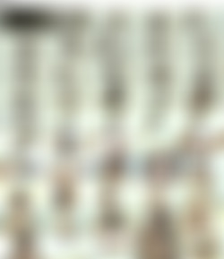 netvideogirls.com/Screens/Alyia_s.jpg