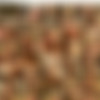 netvideogirls.com/Screens