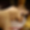 TuttiFrutti.club_Plump young Viki