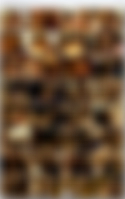 Tearing It Up 3/screens/TearingItUp3_s04_LylaLei_Upscale1080p.jpg