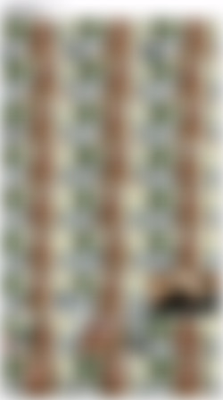 PB_443 Rosa Josefin Bukkake - All BTS/screens/Rosa Josefin #1 - Interview before Bukkake.mp4.jpg