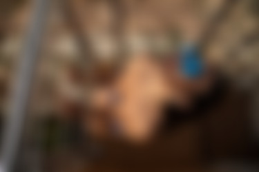 [PHD] 2024-06/2024-06-20 Lupe - Anima Latina/24l.jpg