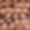 Harmony Grant thumbnail