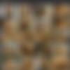 Harmony Grant thumbnail