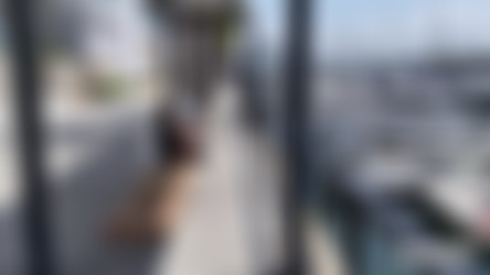 Taylor Takes A Face Full 2022/Grabs/Taylor Takes A Face Full 2022 002.jpg