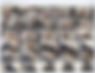 [OnlyFans.com] KatTheKunt - SiteRip/Video Screens/30a84394-a66a-42c9-ab48-d5581796f016.m4v.jpg