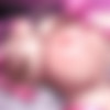 Ponchi/2023~2024/112 - 違〇妊婦風俗5 [2024-03-31]