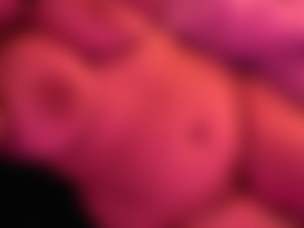 [OnlyFans.com] KatTheKunt - SiteRip/Images/0b9d06b4-9a8b-459a-8ca8-b23a16189c01.jpg