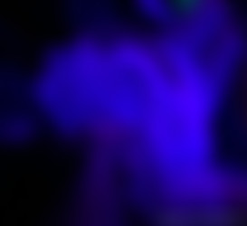 [OnlyFans.com] KatTheKunt - SiteRip/Images/0eb1152c-4c71-422a-a3b4-d2d1cbbacc59.jpg