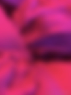 [OnlyFans.com] KatTheKunt - SiteRip/Images/08b619dc-94dd-4b1d-aec2-683207ba17af.jpg