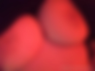 [OnlyFans.com] KatTheKunt - SiteRip/Images/16fafb73-9f36-4ec0-8cbc-d5465ce397c5.jpg