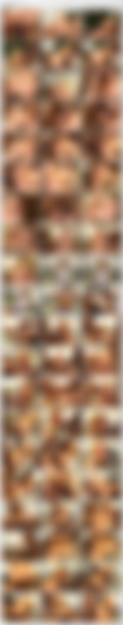 Black Dicks In White Chicks 04 [DVD9]/_screens/VTS_01_3.VOB_thumbs.jpg