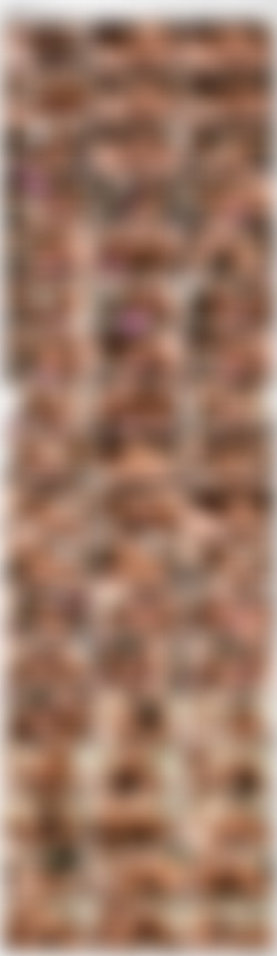 Ass Cleavage 09 [DVD9]/_screens/VTS_01_4.VOB_thumbs.jpg