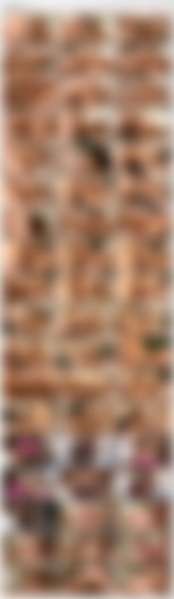 Ass Cleavage 09 [DVD9]/_screens/VTS_01_5.VOB_thumbs.jpg