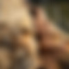 2022phdee/2022-08/[photodromm] 2022-08-12 Ruth - Hot Stones (x46, 3000 px)