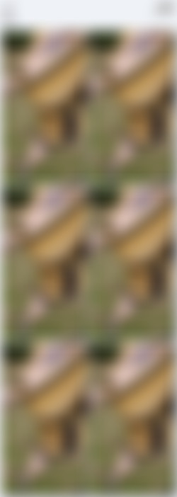 [OnlyFans.com] Conspiratitty - SiteRip/Video Screens/1c41929b-eef1-482c-bd8f-8084c330bf95.m4v.jpg