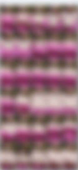 [OnlyFans.com] Conspiratitty - SiteRip/Video Screens/28de55f2-4e20-47d8-b25b-2c56d9ad4c24.m4v.jpg