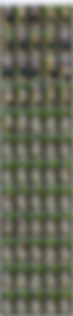 [OnlyFans.com] Conspiratitty - SiteRip/Video Screens/79fbd57b-022d-467f-8d36-4a1a120324f5.m4v.jpg