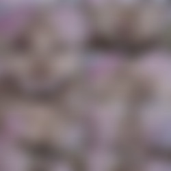 Inserted.22.02.17.Amber.Moore.XXX.2160p.MP4