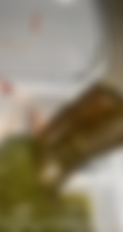 [Scatbook.com] GalacticWhorezz/i-saved-you-some-leftovers_10095525.mp4