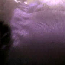 Roselip 0567 - Rina S. Matsumoto.wmv