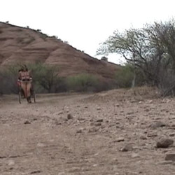 bdsm_017_Ponygirls_Out_West.wmv